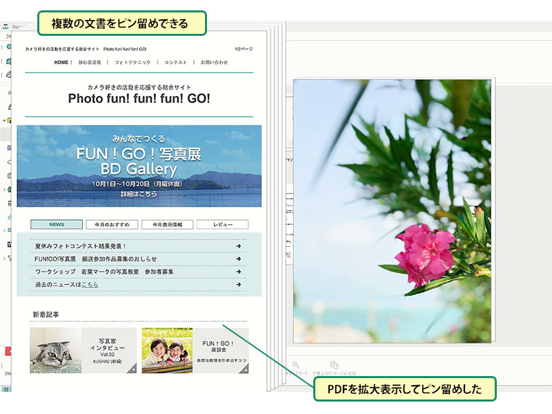 使いこなしのヒント：拡大表示の状態を画面上に固定（ピン留め）する_画像2
